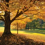 The Beauty Of Fall Is Only A Day's Drive Away