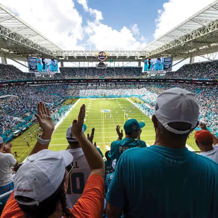 The Dolphin Ship Needs To Be Righted Fast