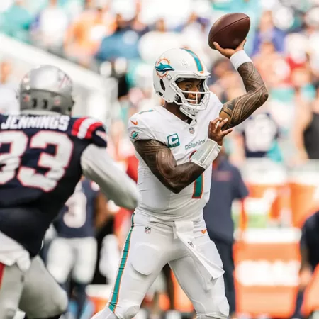 The Dolphins Are Showing Significant Improvement