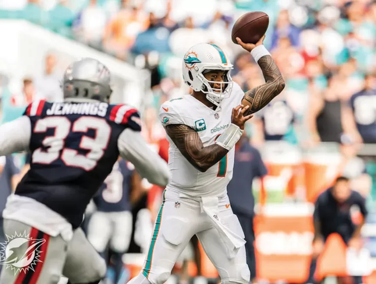 The Dolphins Are Showing Significant Improvement