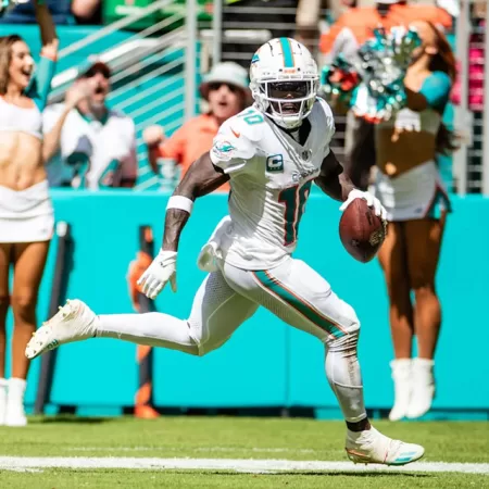 The Dolpins Are Flawed In Several Areas