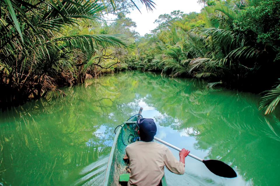 Cigenter River, At Handeuleum Island, Ujung Kulon National Park, Indonesia