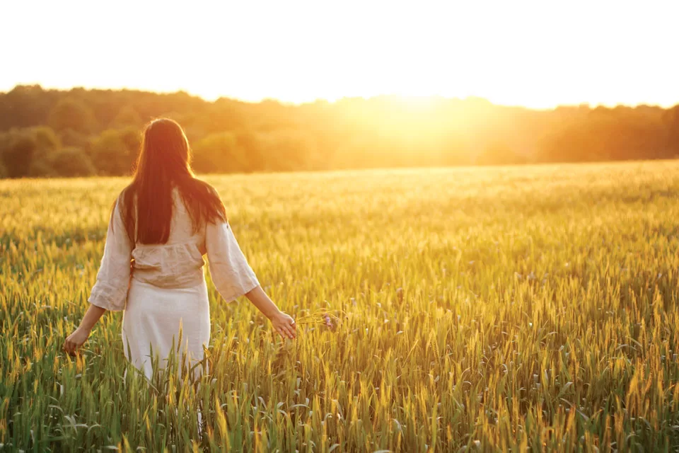 When Does A Dream Become A Prediction Of The Future