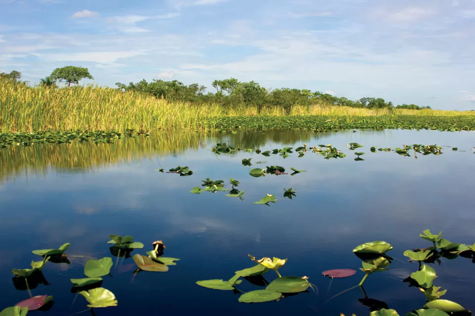 Some Important Ways To Make The Most Of Your Summer