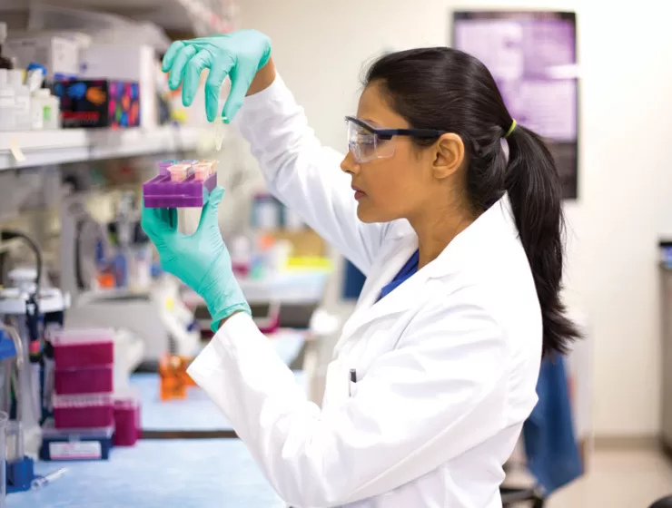 The Community Foundation Of Broward Announces Two New Grants For Cancer Research To Memorial Foundation And Nova Southeastern University, Totaling $900,000
