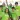 Feeding South Florida® To Host Annual Outrun Hunger 5k At West Palm Beach’s Okeeheelee Park In Celebration Of Hunger Action Month