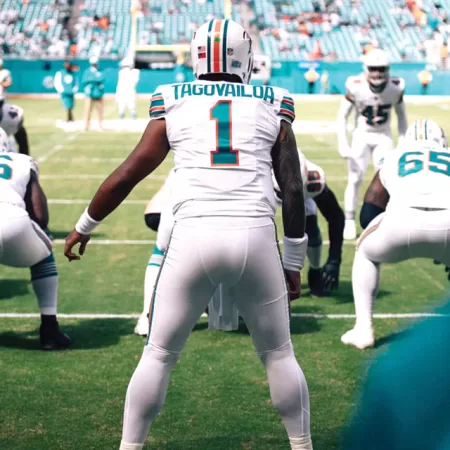 Are The Dolphins Swimming Around In A Circle