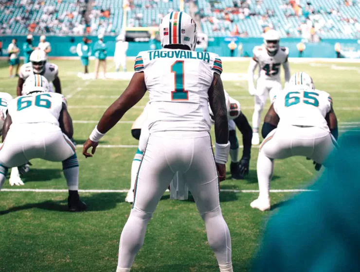 Are The Dolphins Swimming Around In A Circle