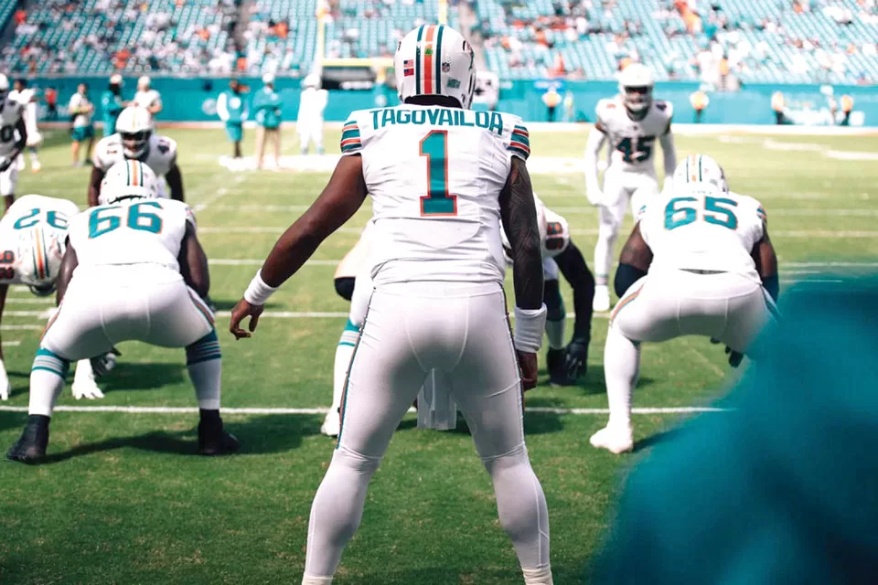 Are The Dolphins Swimming Around In A Circle
