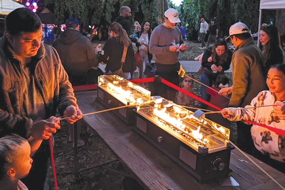 WinterWonderland-FlamingoGardens03