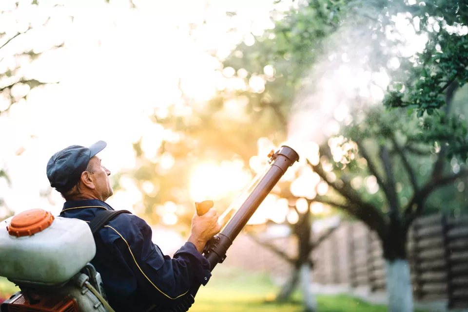 Don’t Say Gnats And Quit Don’t Say Gnats And Quit