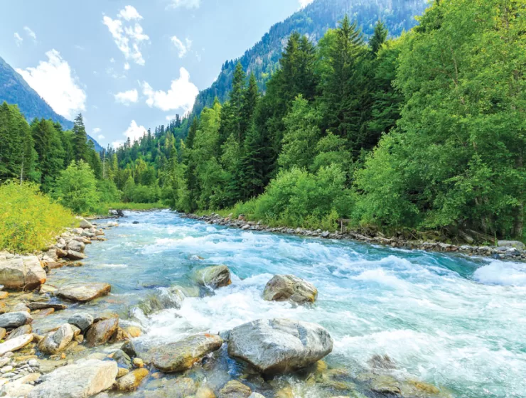 One World, One Planet