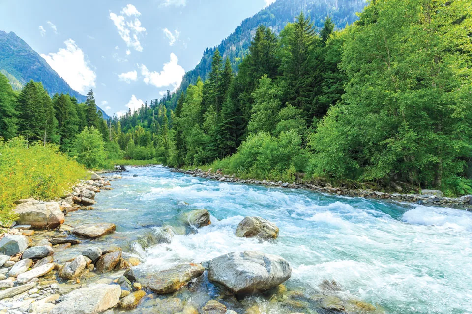 One World, One Planet