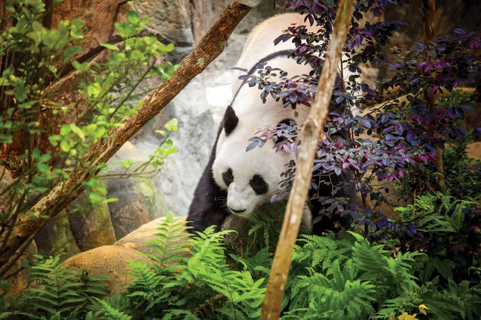 One World, One Planet