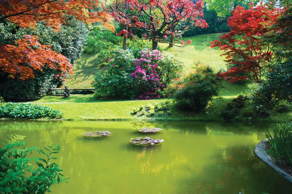 The Beauty Of Spring