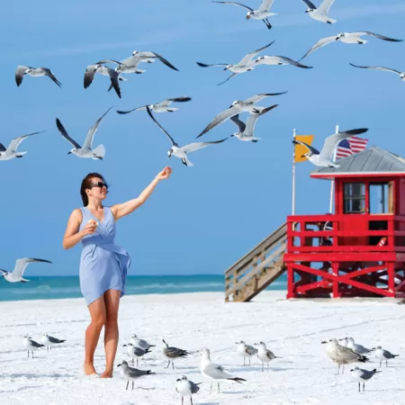 Beauty & Florida Beaches - Siesta Key