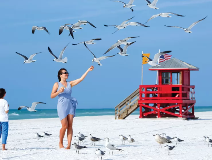 Beauty & Florida Beaches - Siesta Key