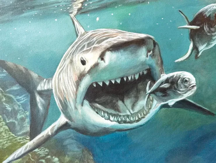 Sharks Steal The Show For Guy Harvey Award