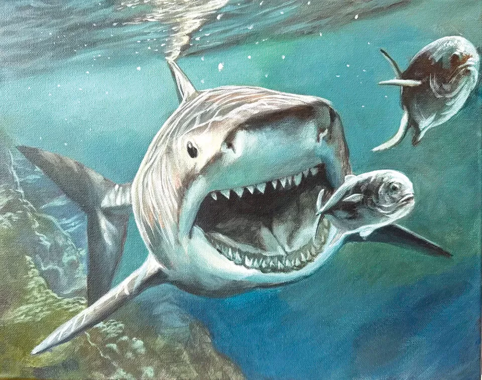 Sharks Steal The Show For Guy Harvey Award