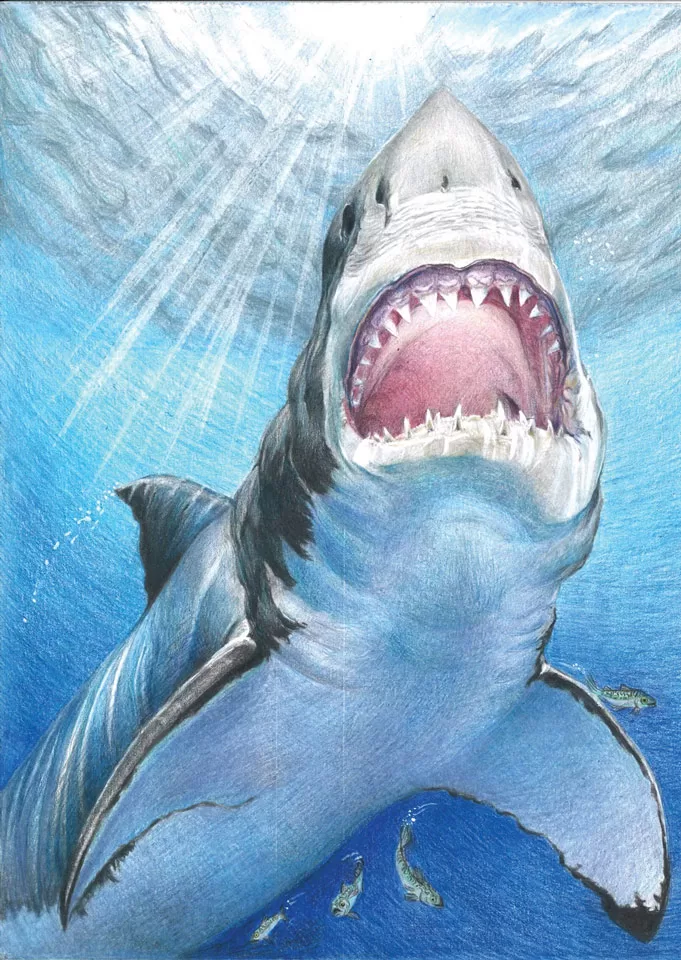 Sharks Steal The Show For Guy Harvey Award